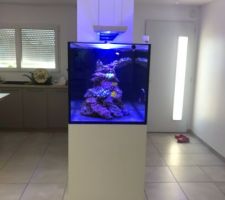 Aquarium marin 500L