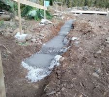 Les premi&egrave;res fondations