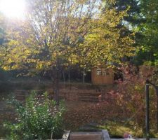 Nouvelles constructions à l'arrière du jardin