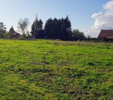 Pose des chaises d'implantations