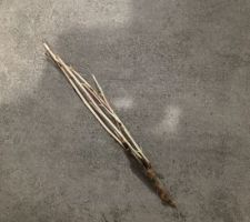What is it?