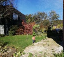 Après retrait des végétaux en mitoyenneté.