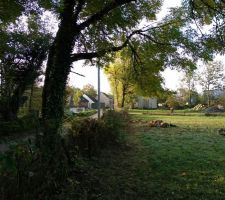 Nettoyage du champs