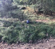 Ramassage des déchets sur le chantier et vue du bunker