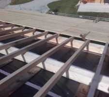 Le plancher sur le garage a (un peu) séché (après avoir bien été rincé, je n'avais pas reçu le Delta Foxx Plus).
