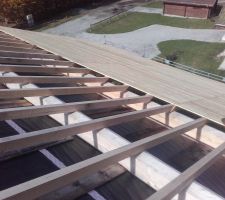 Le plancher sur le garage a (un peu) séché (après avoir bien été rincé, je n'avais pas reçu le Delta Foxx Plus).