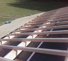 Le plancher sur le garage a (un peu) séché (après avoir bien été rincé, je n'avais pas reçu le Delta Foxx Plus).