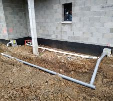 Réseaux pour la piscine