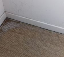 Traces d'humidité