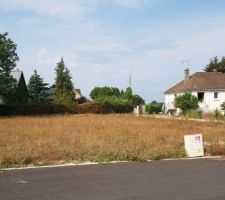 Photo du terrain lors de notre 1&egrave;re visite.