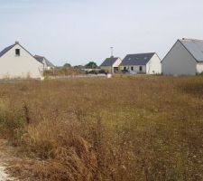 Photo du terrain lors de notre 1&egrave;re visite.