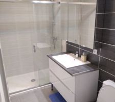 Salle d'eau rdc