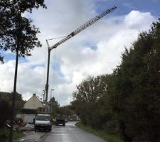 Grue