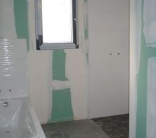 Baignoire et douche... chacun se lavera où il voudra !