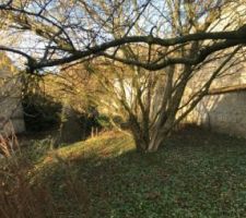 Notre jungle de d&eacute;part :-)