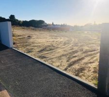 Voil&agrave; le terrain que nous avons choisis!!!