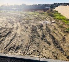 Voil&agrave; le terrain que nous avons choisis!!!