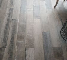 Idée carrelage pièces de vie