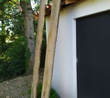 Création plan de travail bureau en chêne