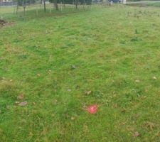 Le g&eacute;om&egrave;tre est pass&eacute; implanter la maison ... Et &ccedil;a y est, d'ici 3 jours, les fouilles sont pr&eacute;vues ! Un peu de stress ... ?