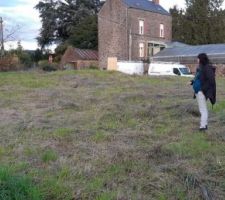 Terrain entretenu, vu du fond