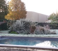 Il a gelé ce matin