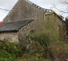 Coté soues à cochon