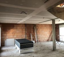 Installation pl&acirc;trerie plafond RDC - Hauteur sous plafond de 2,7m