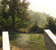 Au pays du matin calme!