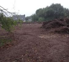 Nettoyage du terrain abattage des arbres