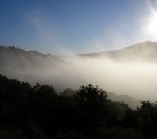Petit matin de la terrasse.