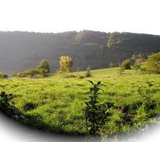 Pelouse (vue sud )