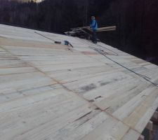 Plancher sapin 20mm : fini ! Avec de l'aide, merci