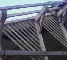 Détails : la paille contre les contrevents