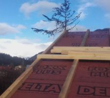 La tradition : sapin au faîtage dès que le toit est étanche