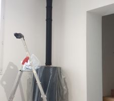 Poêle a bois mona de chez turbofonte avec netatmo pour gérer la température.