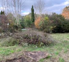 Défrichage du terrain, automne 2019