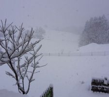 Parfois il peut faire de la neige !!