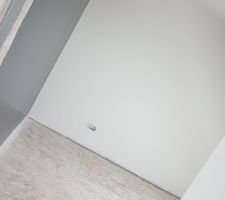 Peinture Gris paris 3 chambre 4