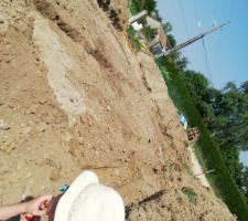 Une petite curieuse :)