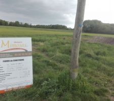 Et le voici le voil&agrave; le petit bout de gazon qui nous fait tant r&ecirc;ver