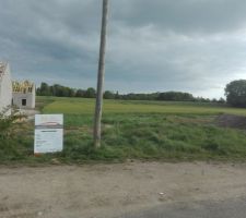 Et le voici le voilà le petit bout de gazon qui nous fait tant rêver