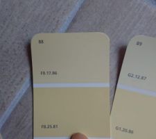 Peinture sikkens jaune F8.25.81 pour chambre 1