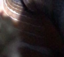 Conduit condensation