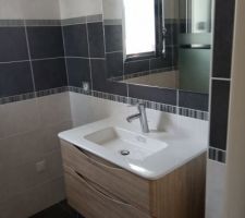 Meuble salle d'eau RDC