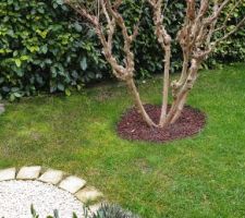 Ce coin du jardin est à reprendre : manque de lumière, humidité excessive en dehors de l'été : le gazon ne tient pas, la mousse est reine.