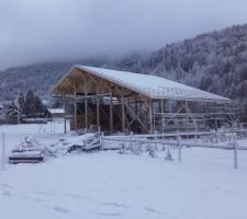 La Bistorte sous la neige : que 5/8 cm à enlever sur la bâche du toit