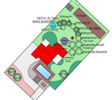 Projet de jardin, réalisation d'une haie brise-vue.