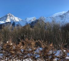 Bonsoir, pour donner un élément de contexte, voici la vue que nous aurons du chalet. Une vue panoramique de l'aiguille du midi à l'aiguille du gouter en passant par le dome du goûter. Le chalet est trop près de la montagne, donc on ne voit pas le mont blanc. Snif :-) 
Enfin voilà pourquoi nous avons mis un maximum d'ouvertures sur la façade sud !