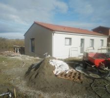 Crépis maison